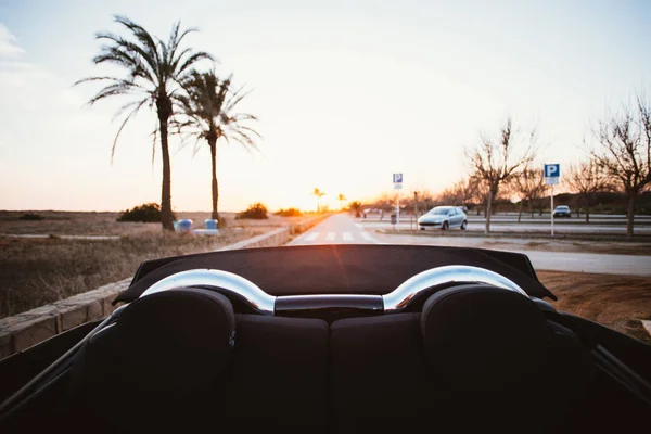 Backseat view from back of convertible cabriolet car at sunset with palm trees and beach