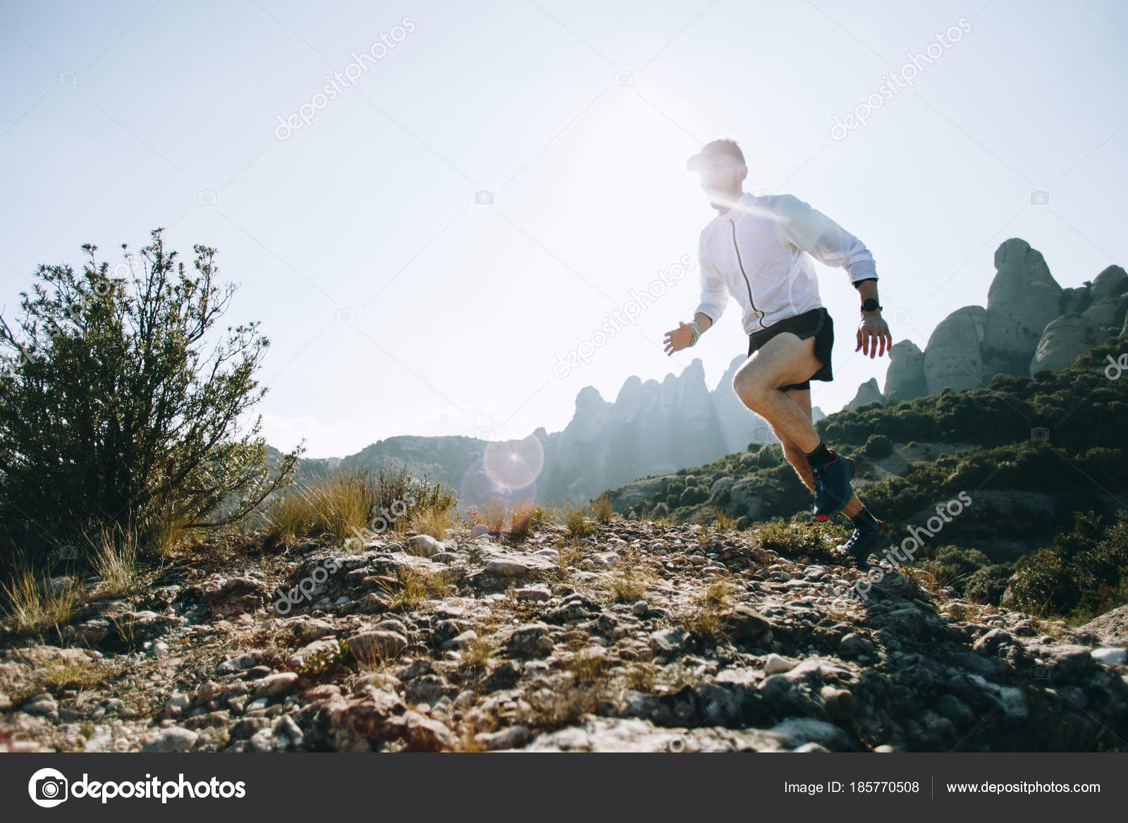 Half Marathon, image size:1600x1167