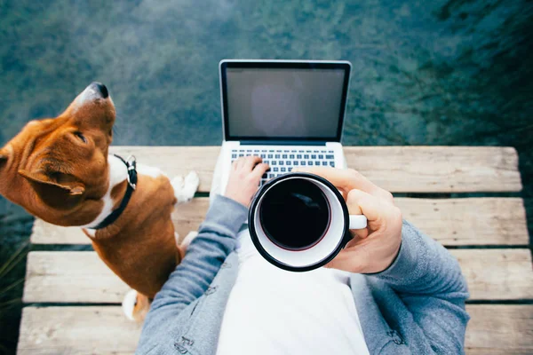 Kentsel bin yıllık veya hipster uzak alt laptop deniz, okyanus ya da park lake ahşap iskele üzerinde başlangıç çalışmalarında POV. Köpek ve yan yanında en iyi arkadaş evde beslenen hayvan. Metal sürahi veya uyanık kalmak için taze kahve Kupası