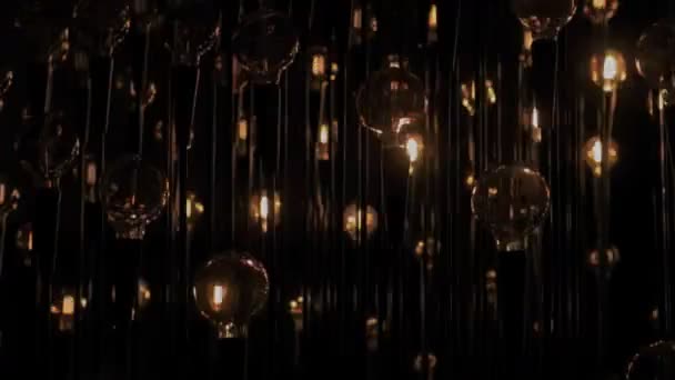 Edison tunsteen bombillas vintage en la oscuridad — Vídeo de stock