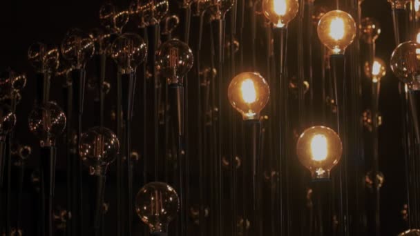 Edison tunsteen bombillas vintage en la oscuridad — Vídeos de Stock