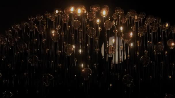 Edison tunsteen bombillas vintage en la oscuridad — Vídeo de stock