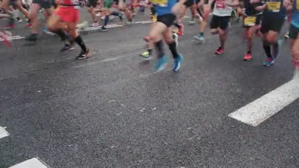 Marathon start finish line with confetti runners — Stock Video
