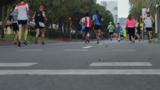 Corredores maratón irreconocibles en la calle de la ciudad — Vídeo de stock