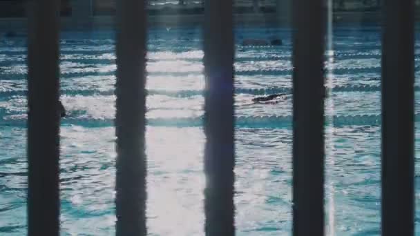 Training im geöffneten Schwimmbad — Stockvideo