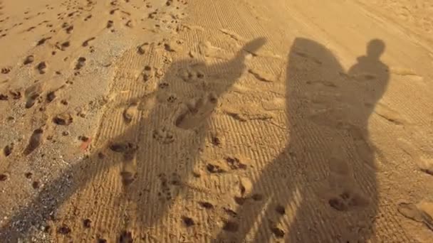 Two shadows of surfers walk on sandy beach — Stock Video