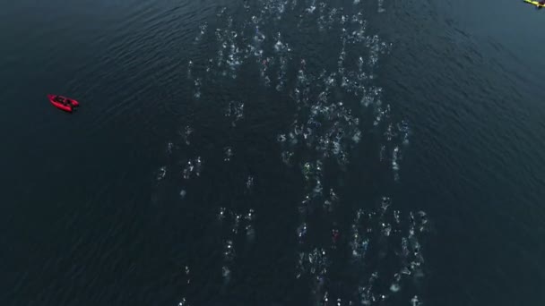 Vuelo aéreo con aviones teledirigidos de triatlón en fiordo del norte — Vídeos de Stock