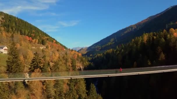 Man går på hängande rep flod bro i skogen — Stockvideo