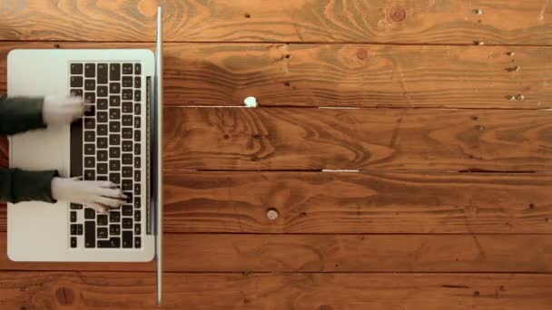 Cute adorable funny dog paws type on keyboard — Stock Video