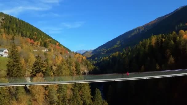 Man walks on hanging rope river bridge in forest — Stock Video