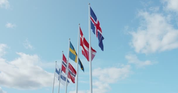 Scandinavian flags flap in wind on blue clear sky — Stock Video