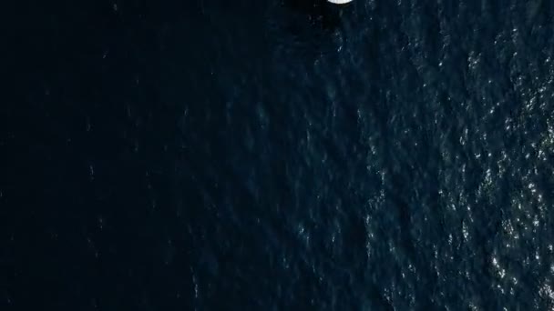 Sorvolare un lussuoso yacht privato nell'oceano delle Maldive — Video Stock