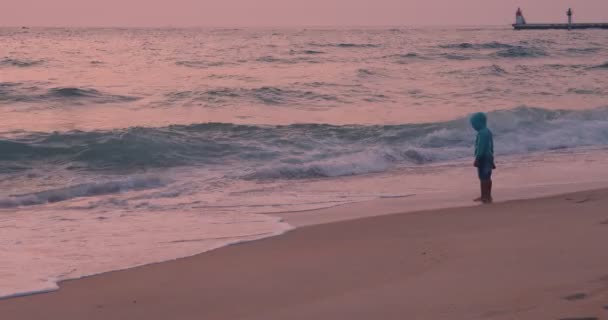 Toddler or small kid plays with surf at beach — Stock Video