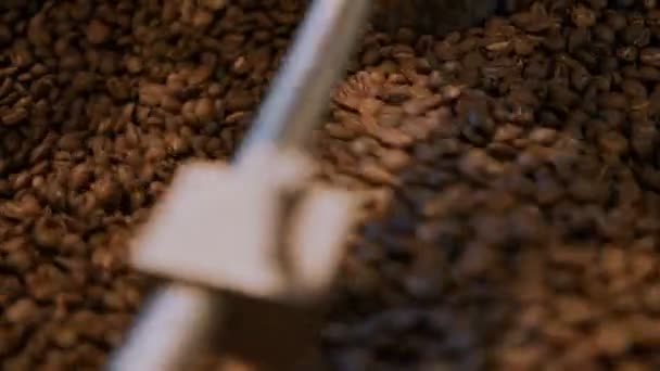 Koffie roosteren proces in kleine rooster fabriek — Stockvideo