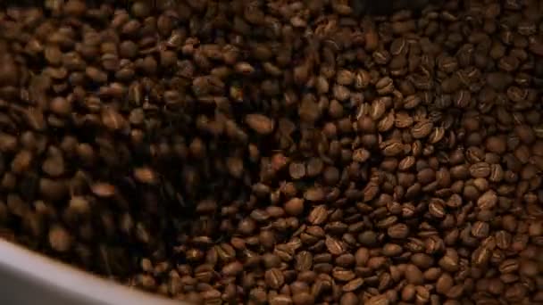 Процесс обжига кофе на небольшом заводе жаровни — стоковое видео