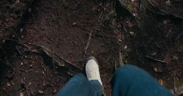 POV em botas de aventura ou sapatos em trilha florestal — Vídeo de Stock