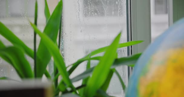 Raindrops on apartment window in modern loft — Stock Video