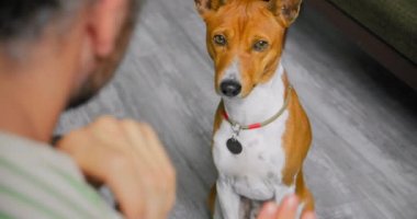 İnsan köpeğine beşlik çakmayı öğretir.