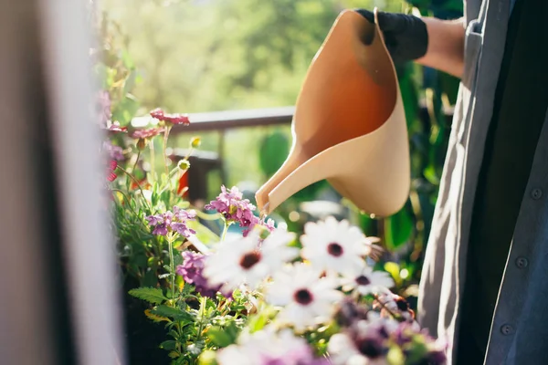 Woman waters plants on her balcony garden in flat — Stock Photo, Image