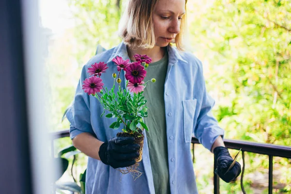 自宅でバルコニーに女性庭師の植物の花 ストックフォト