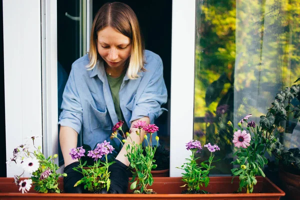 Nainen puutarhuri kasvi kukkia parvekkeella kotona tekijänoikeusvapaita valokuvia kuvapankista