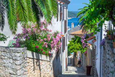 Geleneksel Avrupa Akdeniz mimari tarzında sokak ve evler, yard, porches, merdiven, panjurlar yaz asma, ortanca ve palm çevrili öğleden sonra güneş içinde. Mali Losinj.