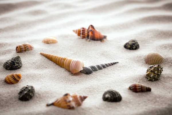 농도 대 한 모래와 조화와 균형 순수 단순-매크로 렌즈 촬영에 대 한 휴식에 조개 양식된 다이얼 시계 — 스톡 사진