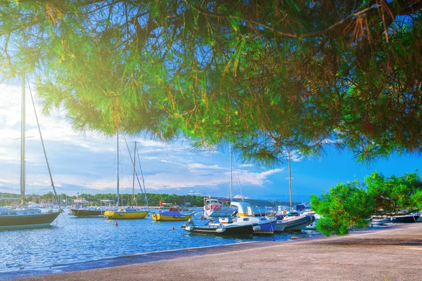 Wunderschöne romantische Sommerabend Landschaft Panorama Küste ein — Stockfoto