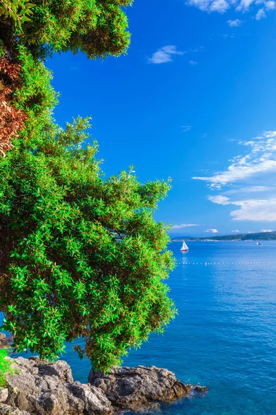 Maravilhoso romântico verão tarde paisagem panorama litoral — Fotografia de Stock