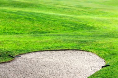 bir parça golf sahası ile çam ormanı içinde kum BUNKERİ