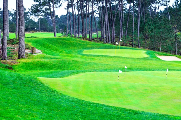 Un campo de golf de fragmentos con palos de banderas en los agujeros en el frente de pino — Foto de Stock