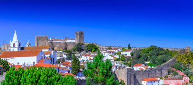 Panoramic view of the beautiful medieval historic center village clipart