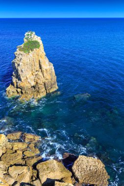 Deniz kuşları karabatak kayanın üzerinde dinlenme. Kıyı şeridi kayalıklarla 