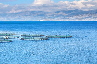 Deniz balık çiftliği. Kafeslerde balık yetiştiriciliği dorado ve levrek için. Wo
