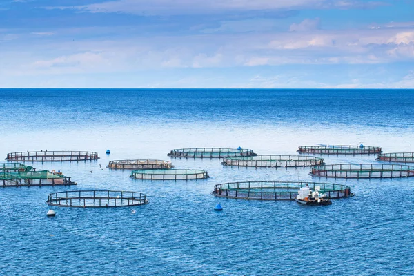Sea fish farm. Klece pro chov dorado a mořčák ryb. Wo — Stock fotografie