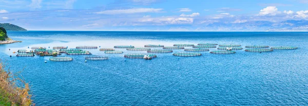 Pescheria marina. Gabbie per allevamento ittico dorado e fondo marino. Il wo — Foto Stock