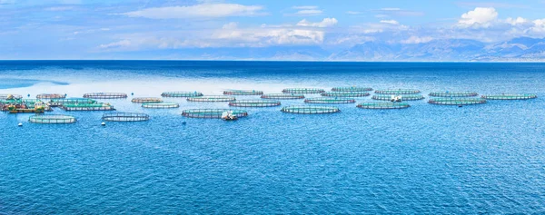 Granja de peces marinos. Jaulas para piscicultura dorado y lubina. El wo — Foto de Stock