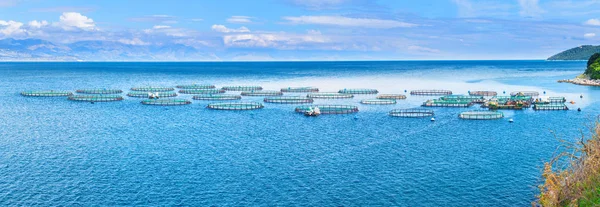 Granja de peces marinos. Jaulas para piscicultura dorado y lubina. El wo — Foto de Stock