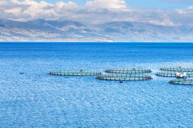 Güzel yaz panoramik deniz manzarası. Şeridinin görünüm 