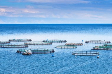 Güzel yaz panoramik deniz manzarası. Şeridinin görünüm 