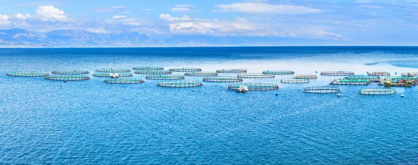 Granja de peces marinos. Jaulas para piscicultura dorado y lubina. El wo — Foto de Stock