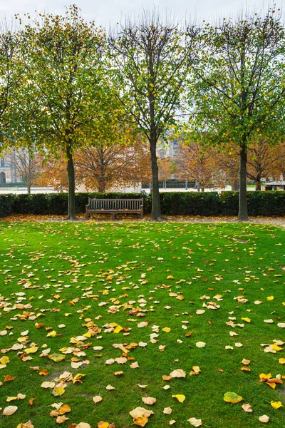 França. Paris. Jardins das Tulherias perto do Louvre no outono depois — Fotografia de Stock