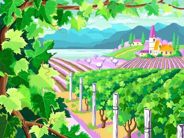 Виноградники и виноградники. Весенний пейзаж . — стоковый вектор