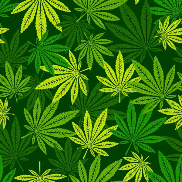 大麻叶的病媒无缝模式. — 图库矢量图片