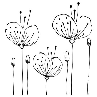 vektör grafik illüstrasyon