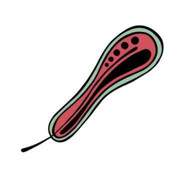 vektör grafik illüstrasyon