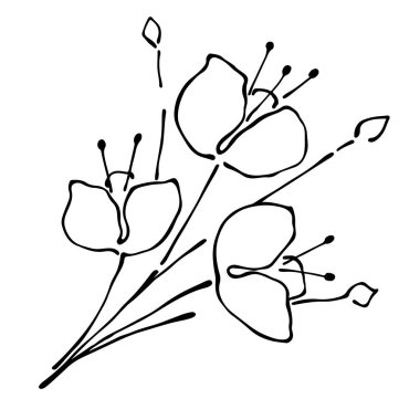 vektör grafik illüstrasyon