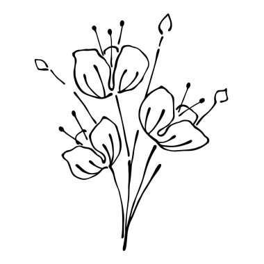 vektör grafik illüstrasyon