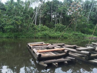 Peru 'daki Manu Ulusal Parkı manzarası, yağmur ormanlarının doğal arka planı, ahşap tekneler, ağaçlar, bitkiler, yapraklar. Yeşil doğal vahşi tropikal manzara