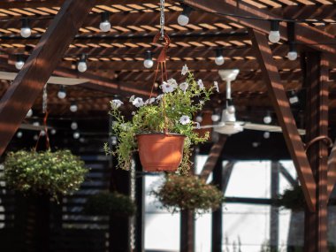 Sokakta asılı duran güzel çiçekli kahverengi tencere